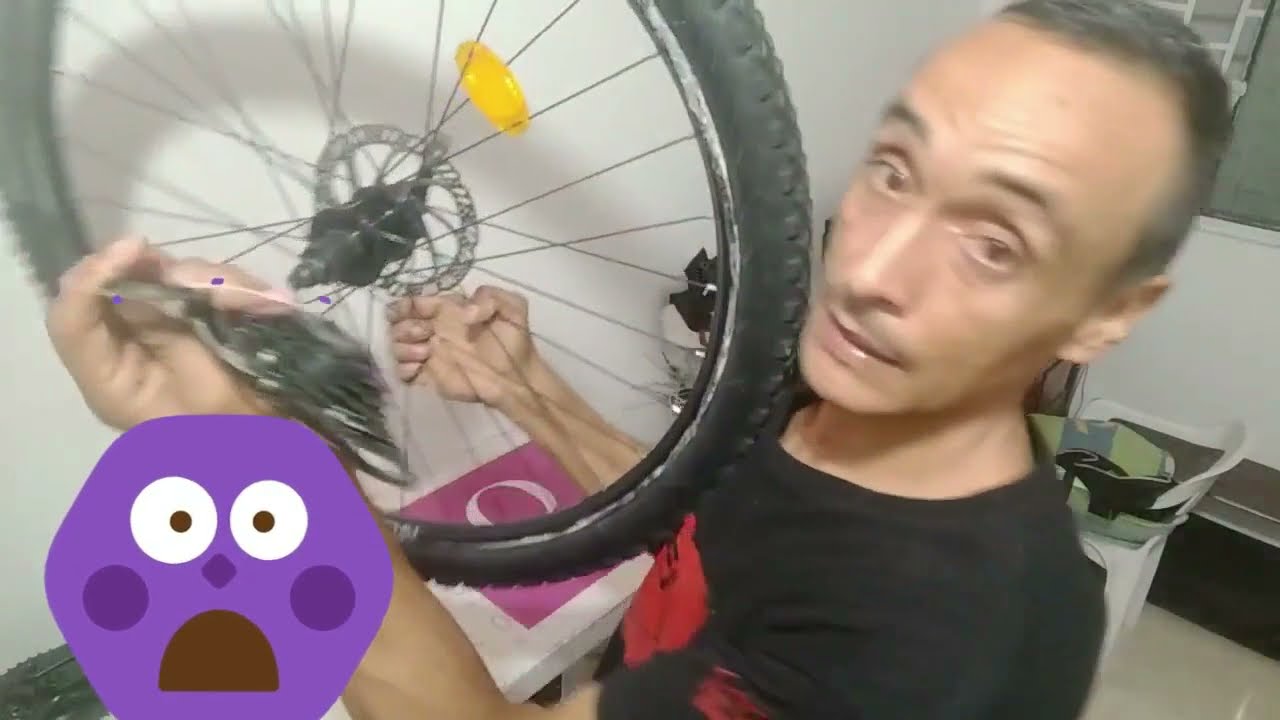 Cómo funciona la Pacha de una bicicleta: Descubre el corazón de tu bici