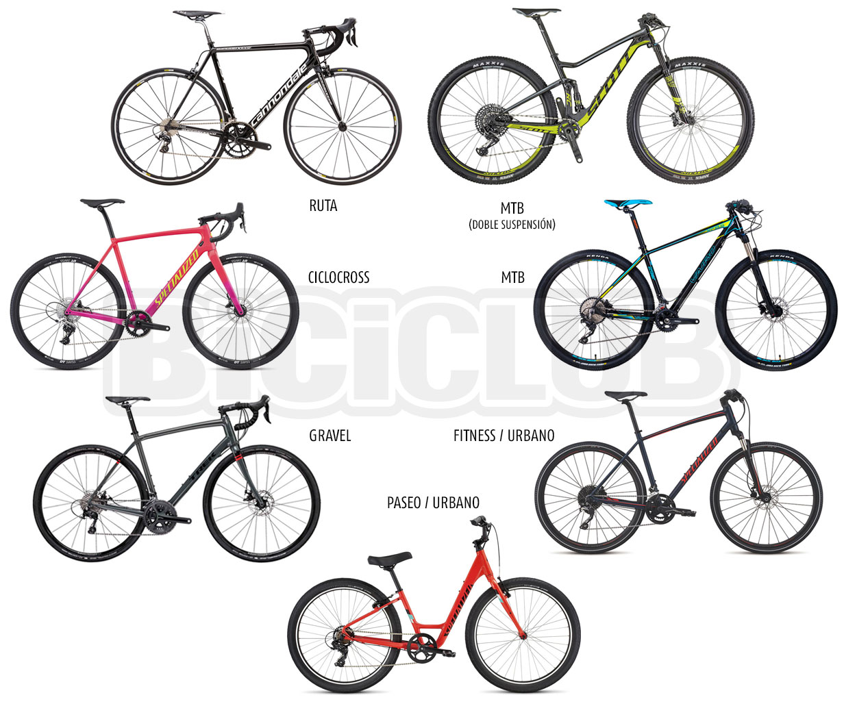 Cómo se clasifican las bicicletas: Guía completa para entender sus tipos y usos