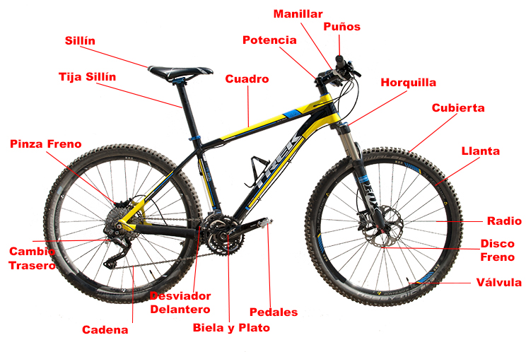 ¿Cuál es el nombre correcto para una bicicleta?