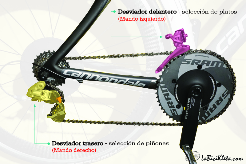 ¿Cuál es la velocidad ideal en bicicleta?