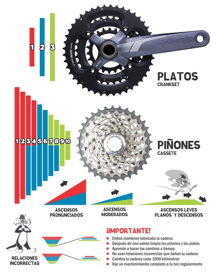 Cuántos cambios tiene una bicicleta de montaña¿Cuántos cambios tiene una bicicleta de montaña?