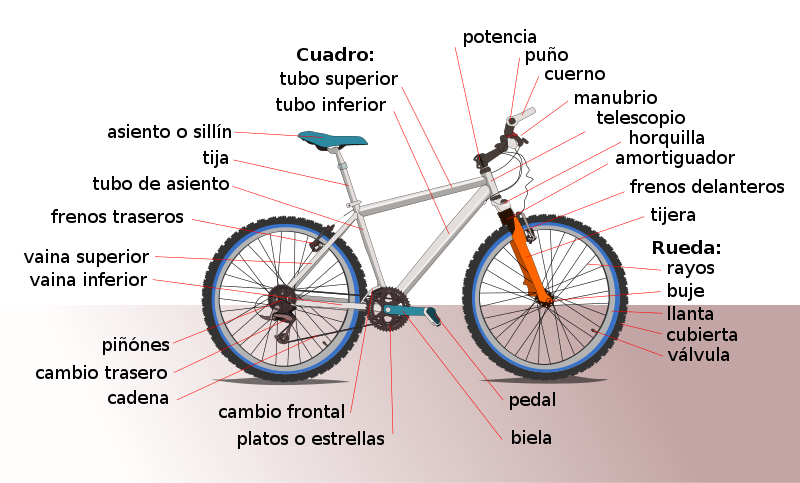 ¿Cuántos nombres tiene la bicicleta?
