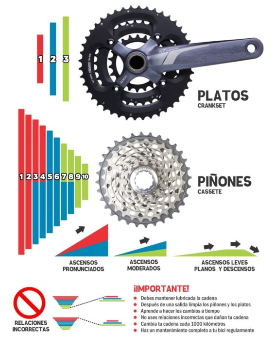 descubre como funciona la relacion de pinones en tu bicicleta