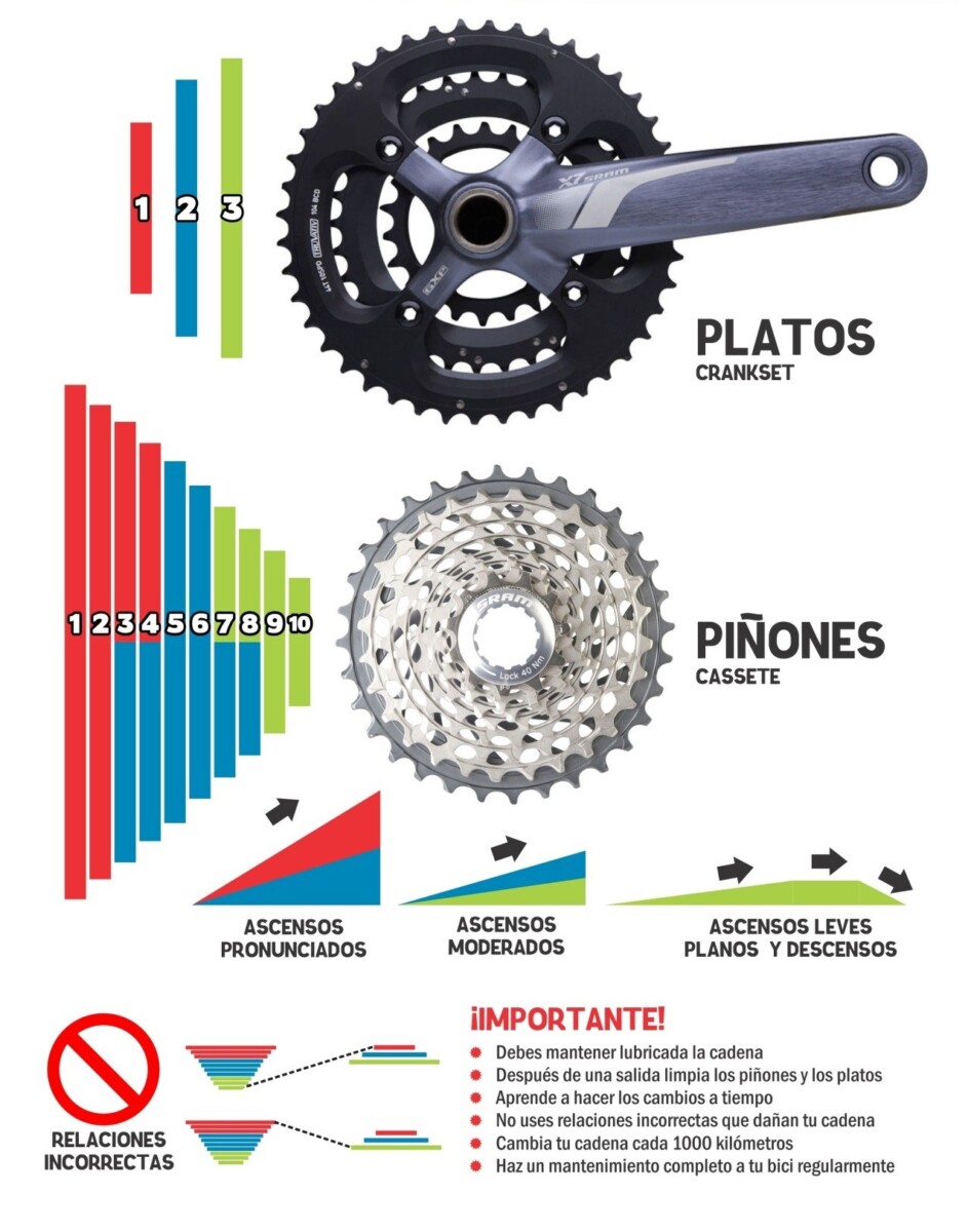 Descubre cómo funciona la relación de piñones en tu bicicleta