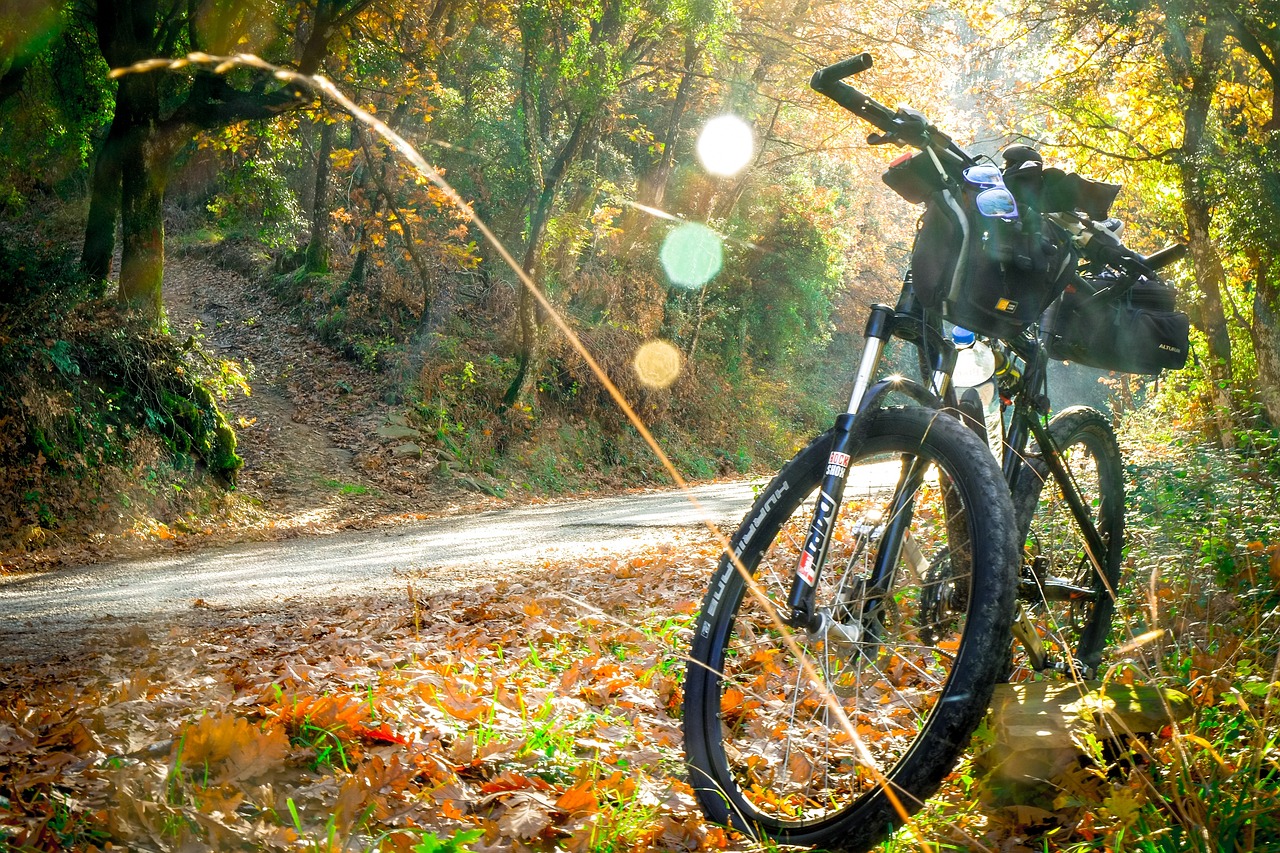Descubre cómo identificar el modelo de una bicicleta Trek
