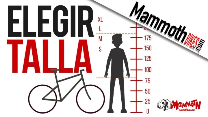 elige el cuadro perfecto para tu bicicleta