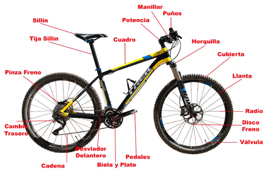 Conoce los diferentes nombres de las bicicletas estándar