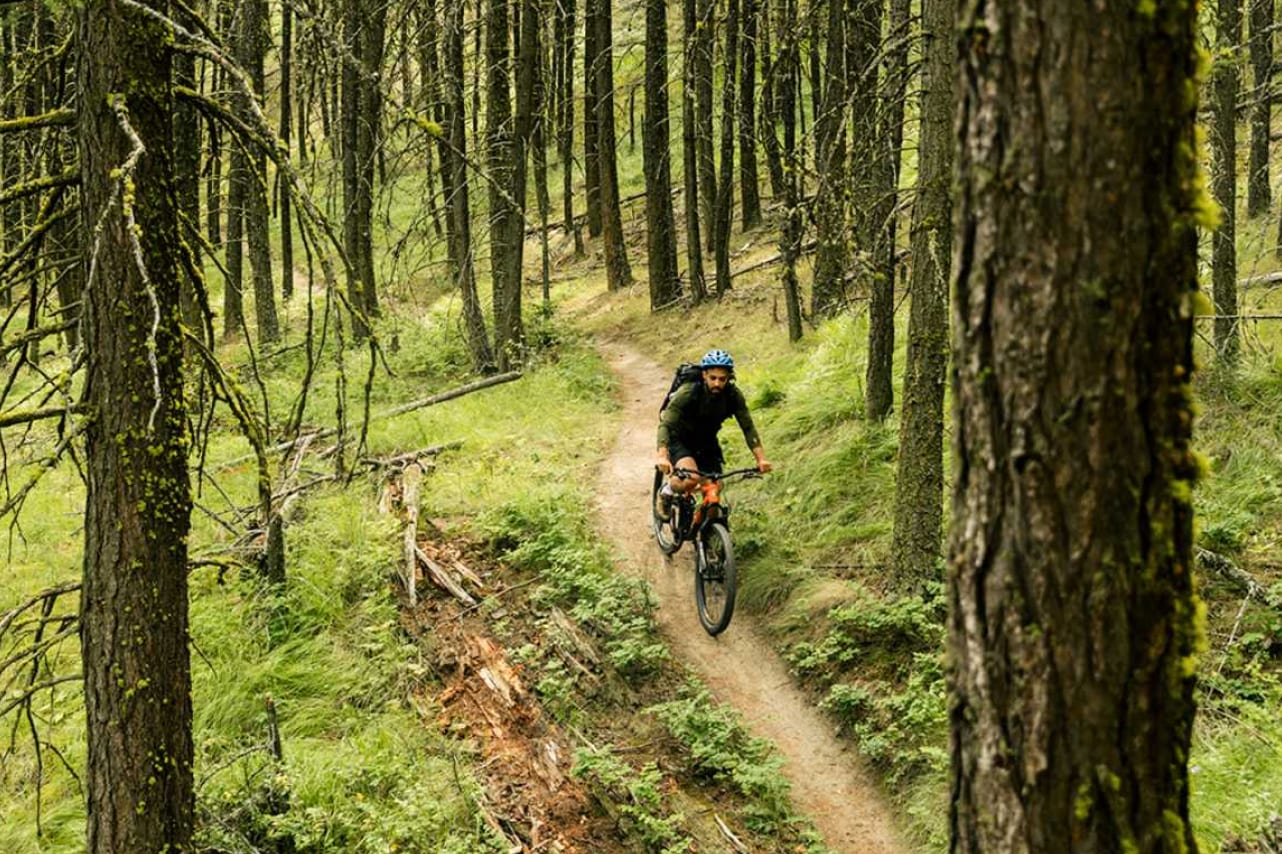 Qué es el AM en MTB – Descubre la emoción del All Mountain en bicicleta