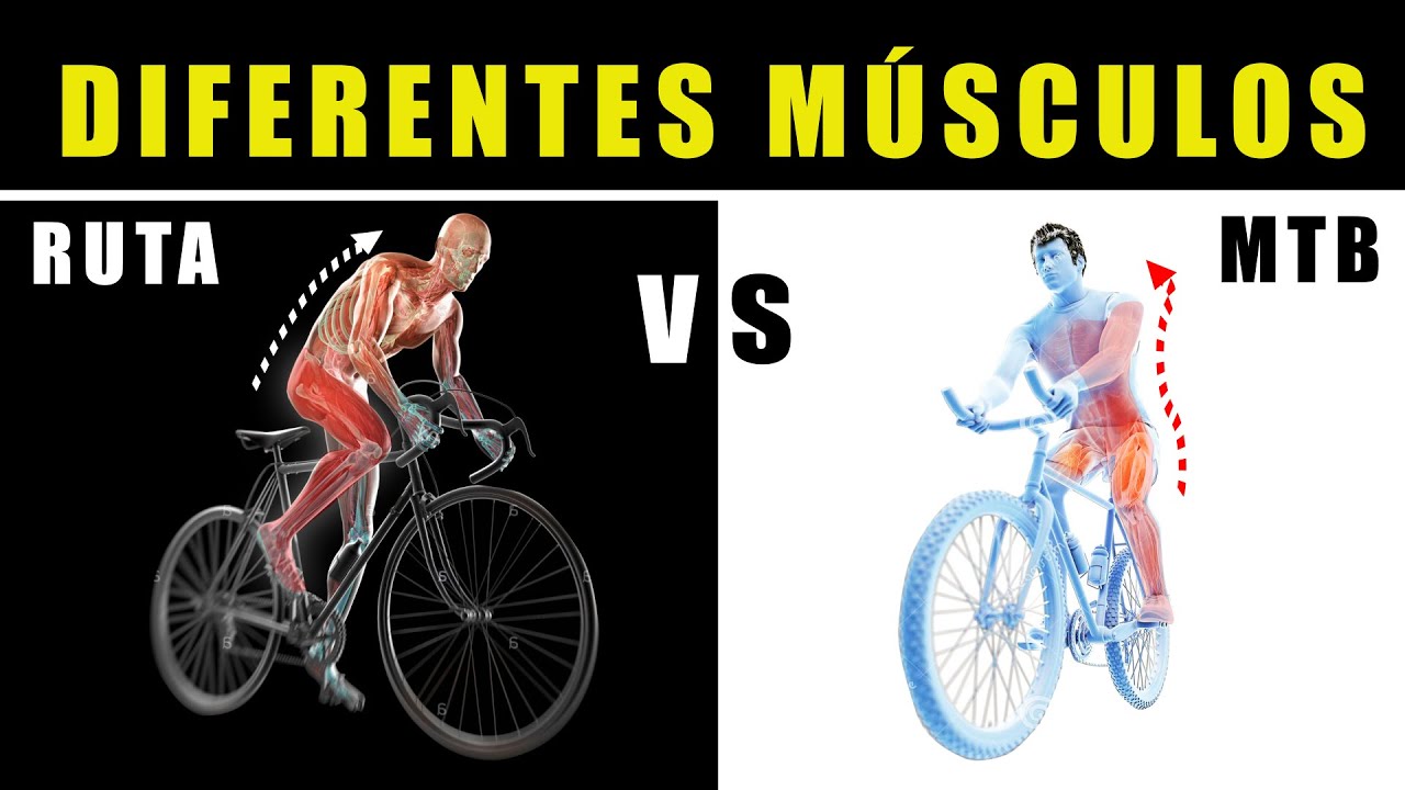Qué es más duro: ¿ruta en bicicleta o MTB?