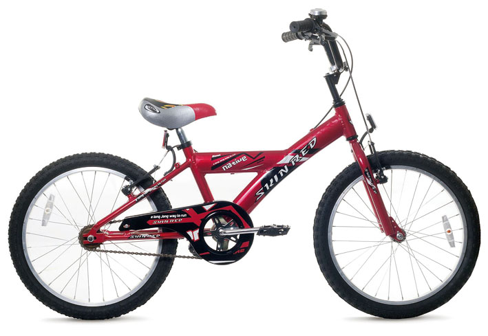 Qué rodado de bicicleta es ideal para los jóvenes de 18 años